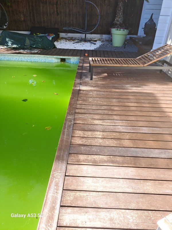 Application d'un traitement de margelle en bois exotique sur une piscine à Lunel