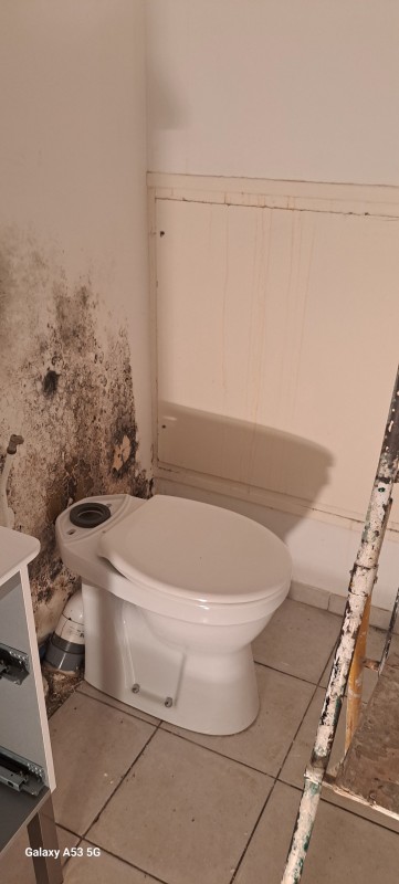 Rénovation d'un parquet au Cres près de Montpellier : Dégât des eaux et assurance