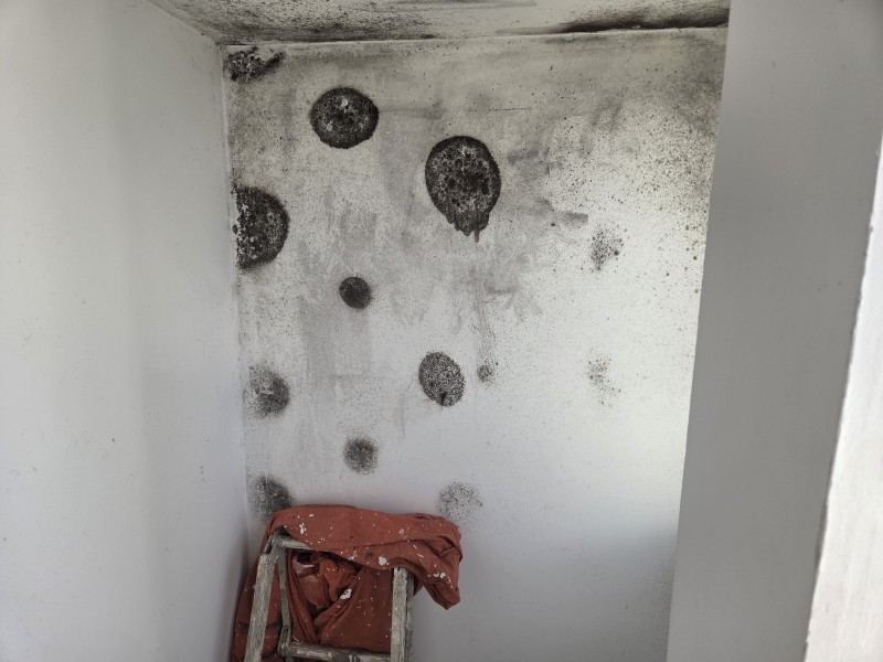 degat des eaux  murs moisie avec champignon
remise en peinture sur palavas a cote de montpellier