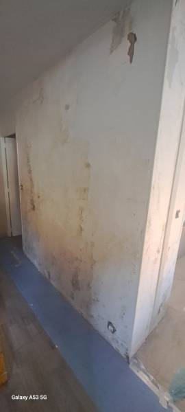 Entreprise de rénovation après infiltration d’eau Les Arceaux à Montpellier