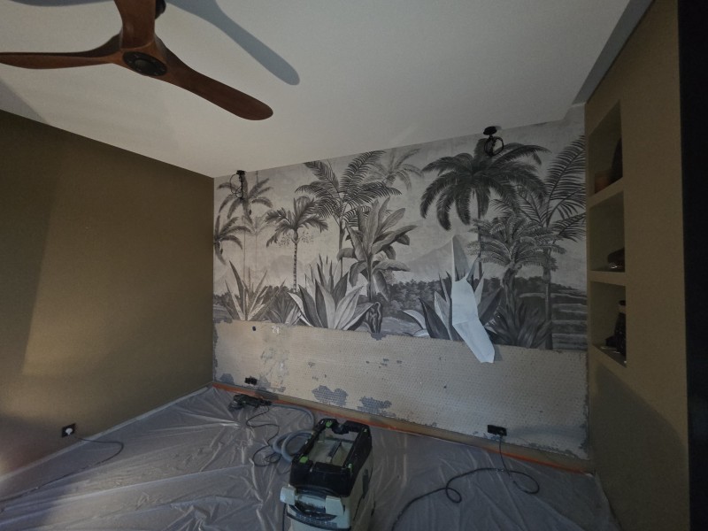 mur  chambre a refaire
sur castelnau pres de montpellier