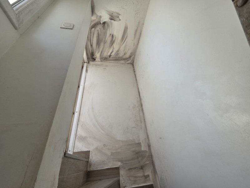 degat des eaux  murs moisie avec champignon
remise en peinture sur palavas a cote de montpellier