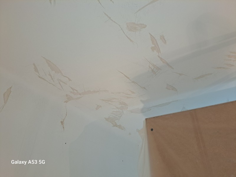 Rénovation peinture à Montpellier murs et plafond d’une chambre : réparation, ponçage et peinture