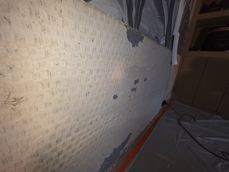 mur  chambre a refaire
sur castelnau pres de montpellier