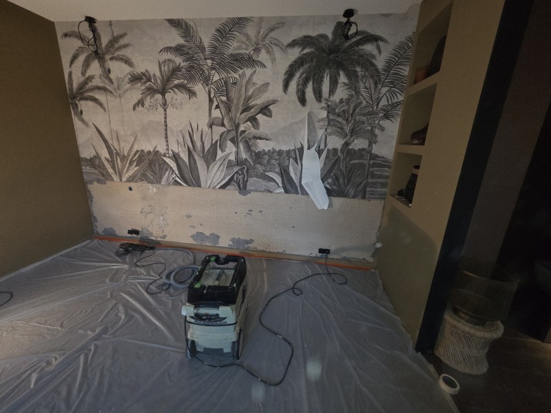 mur  chambre a refaire
sur castelnau pres de montpellier