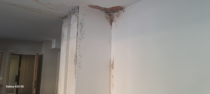 Rénovation d'un parquet au Cres près de Montpellier : Dégât des eaux et assurance