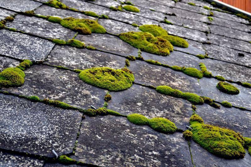 Nettoyage démoussage de toiture et Hydrofugation de toiture à Castelnau le Lez proche du Crès