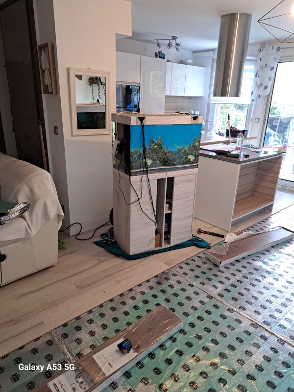 Changement de parquet suite à un dégât des eaux À lattes Près de Montpellier