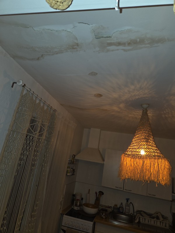 degat des eaux
plafond placo a refaire et peinture sur mudaidon a cote de montpellier