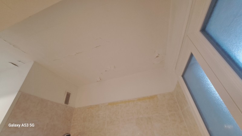 Travaux de rénovation salle de bain à Montpellier  Peintures anti-humidité et anti-moisissures